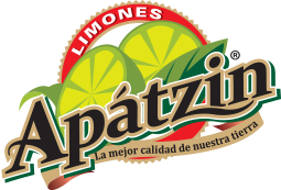 Apátzin