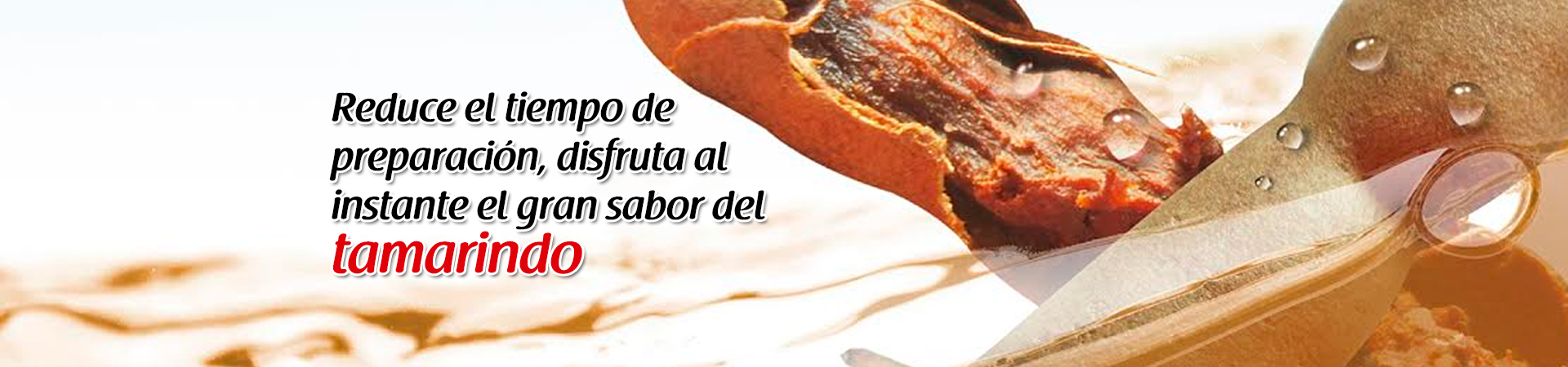 Tamarindo Corporativo Swissco